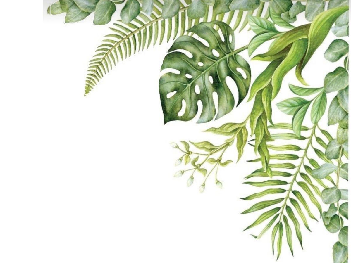 Restaurant Background