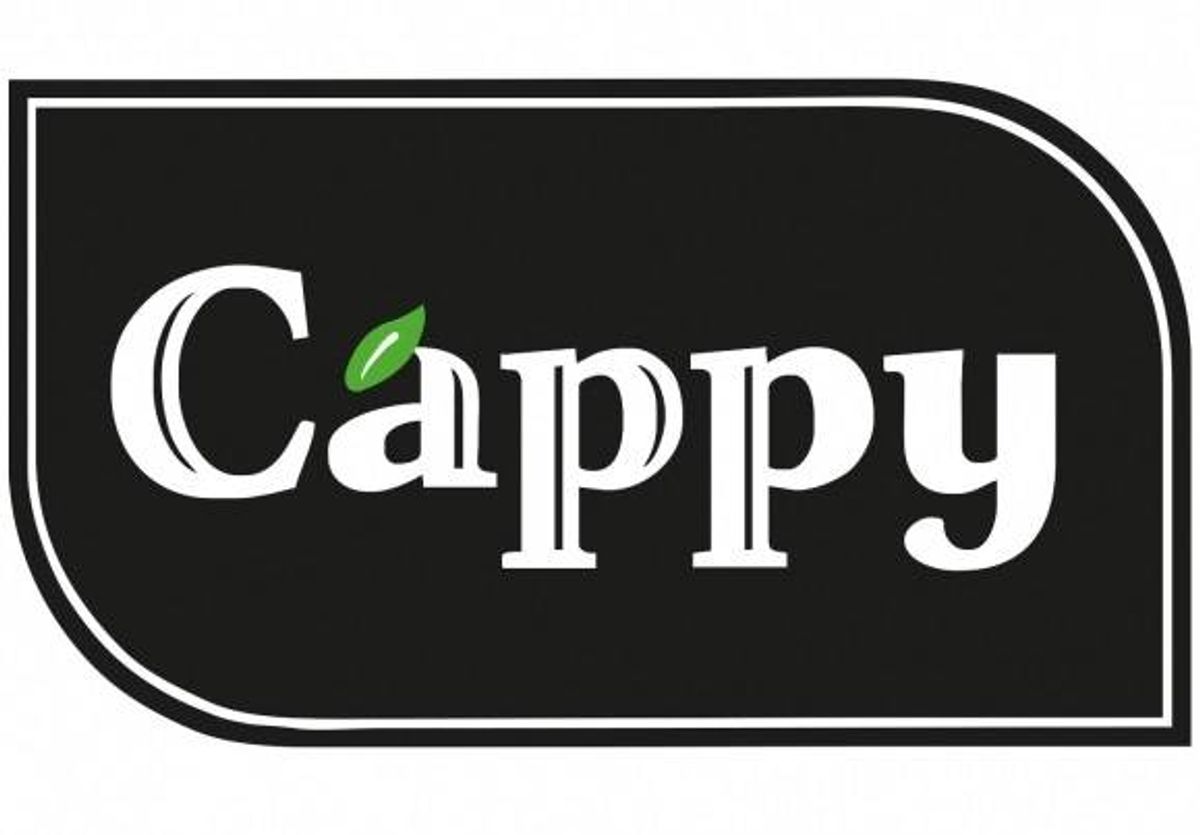 Cappy Pulpy Portocale 0.33l