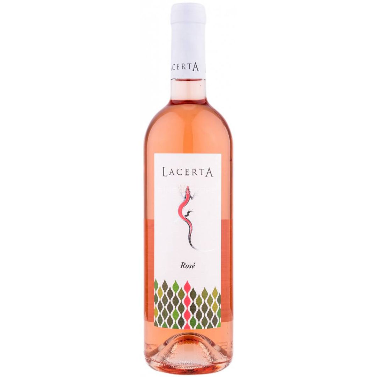 Lacerta - Rose 