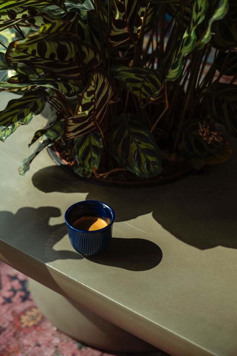Espresso Single