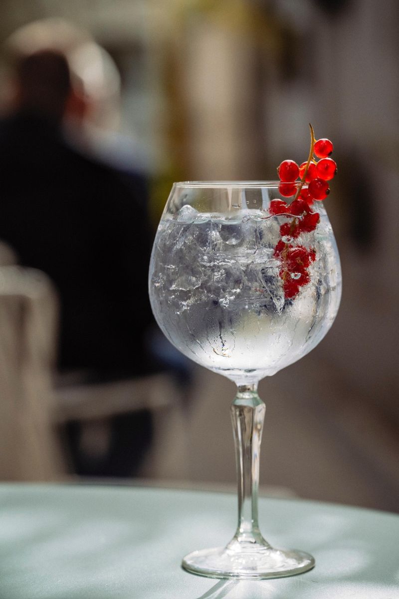 Gin Tonic 