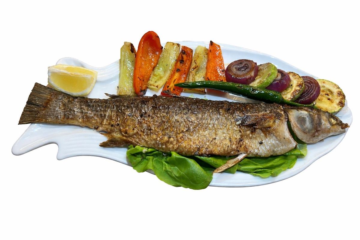 Chefal /mullet Fillet