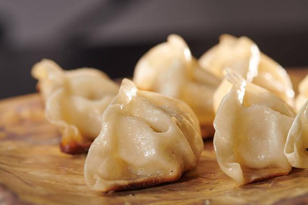 Gyoza Dumplings