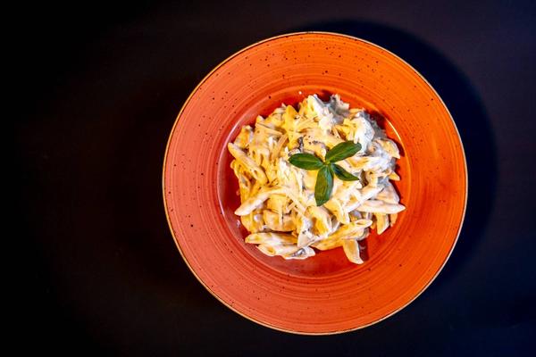 Paste con Pollo cu Sos Alb