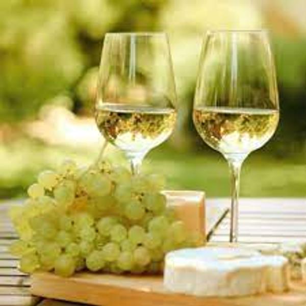 Regno Recas Sauvignon Blanc Pahar 12.5% Sec