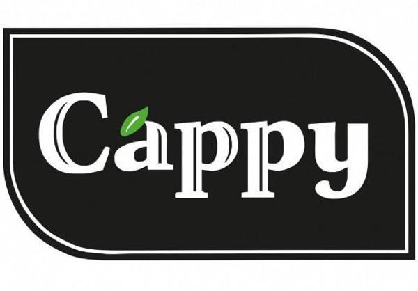 Cappy Pulpy Grapefruit 0.33l
