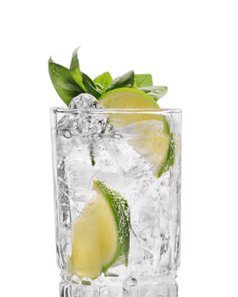 Gin Tonic