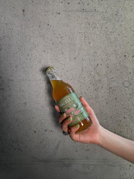Bacilli Kombucha 
