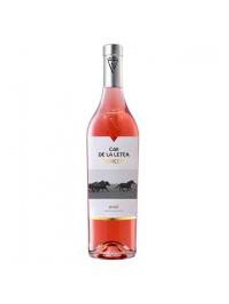 Caii de la Letea Princeps Rose