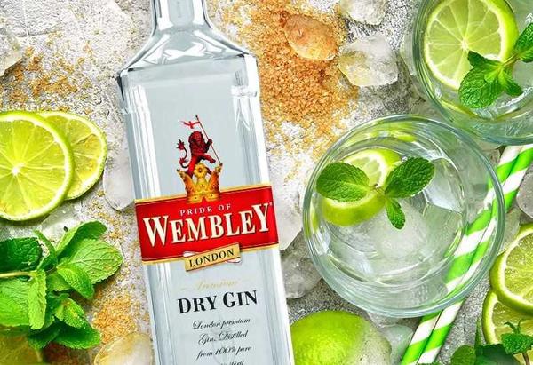 Pachet Wembley Dry Gin 0.7L + 4 DOZE APA TONICA