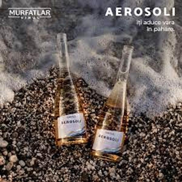 Aerosoli 