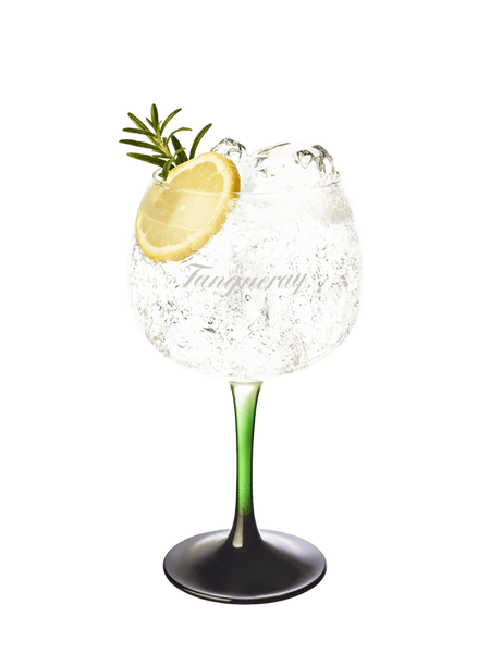 Gin Tonic