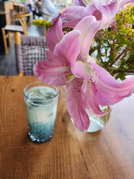 ICED BUTTERFLY PEA COCONUT LATTE
