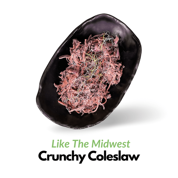 Crunchy Coleslaw (Like The Midwest) 
