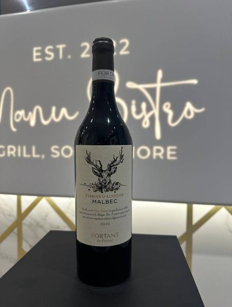  Terroir D'altitude Malbec Fortant de France 2023