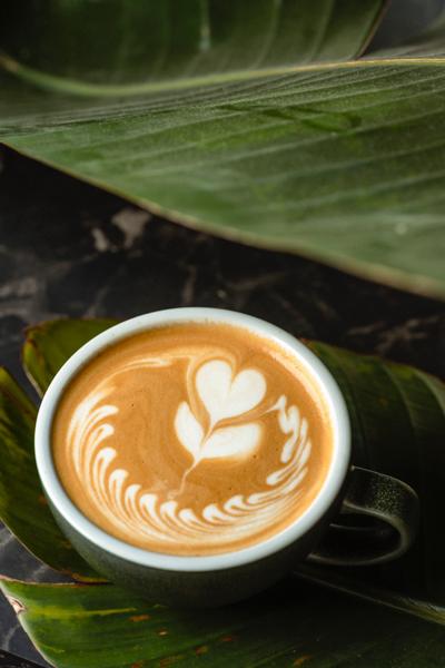 Caffe Latte