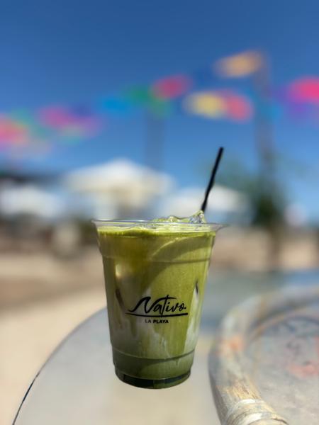 Iced Matcha Latte