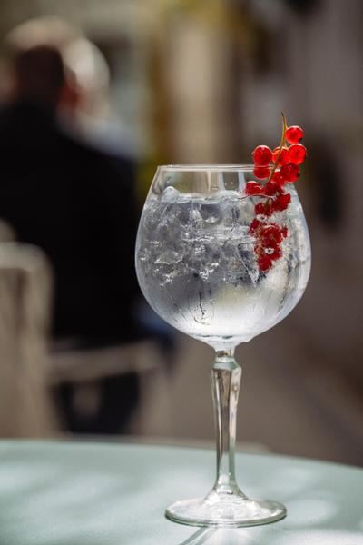 Gin Tonic 